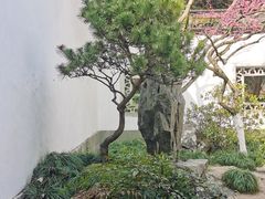 -杭州植物园