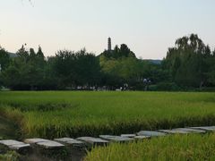 -北坞公园
