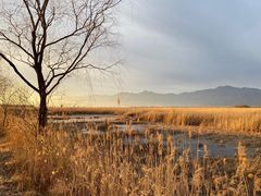 -野鸭湖国家湿地公园