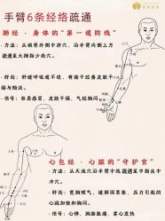 -雅曼妮spa美容养生