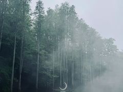 -波尔登森林公园