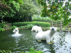 -济州岛泰迪熊博物馆