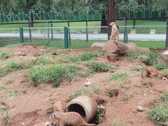 -秦皇岛野生动物园