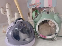 -柚子宠物(伊珊娜调理店)