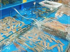 -粤盛海鲜平价店(洛溪食街店)