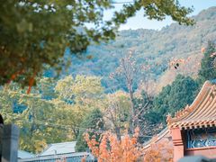 -遵化市禅林寺古银杏风景园