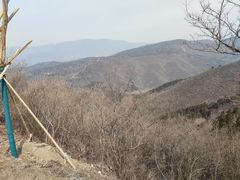 -北京西山国家森林公园