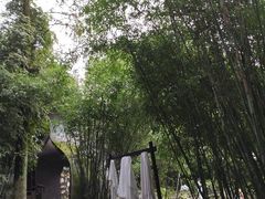 -三江森林温泉度假区