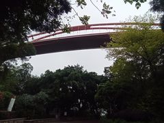 -金鸡山公园