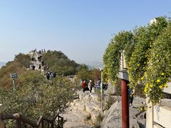 -千佛山风景名胜区