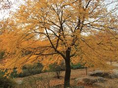 -北京植物园南门售票处