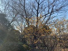 -无锡梅园公园