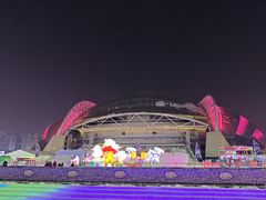 -沈阳奥体冰雪嘉年华