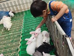 -史努比缤纷世界