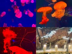 -波塞冬旅游度假区