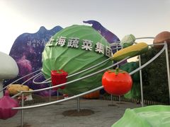 -上海都市菜园