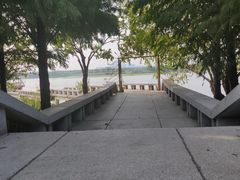 -贡湖湾湿地公园