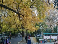 -四川大学(华西校区)