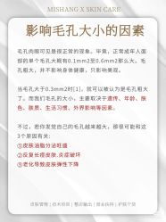 点击看大图 -玛莲朵·海菲秀冰珀科
