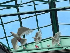 -小凤仙公馆酒店