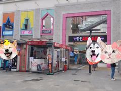 -1973继光香香鸡(金桥国际店)