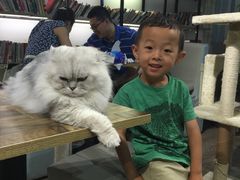 -小时光咖啡馆(开森度假森林店)