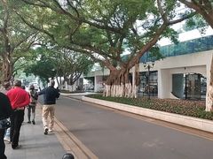 -白天鹅宾馆-宏图府餐厅