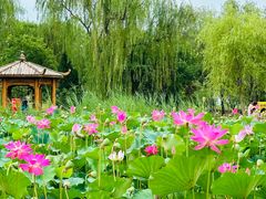 -太阳宫公园