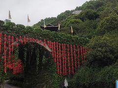 -巴倒烫陆派重庆火锅(南山店)