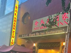 -食为先(Shark Fin)