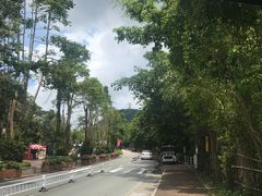 -深圳东部华侨城茵特拉根酒店