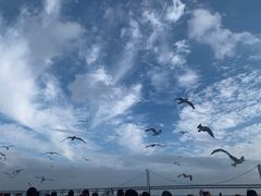 -星海广场