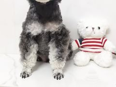 -陆家嘴世纪金融广场