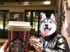 -星巴克臻选(成都宽窄巷子店)