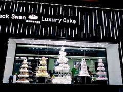 -BLACKSWAN黑天鹅(环球店)