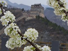 -居庸关长城