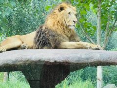 -北京野生动物园