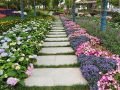 -春花秋色城市公园