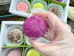 -好一朵茉莉花(老门东店)
