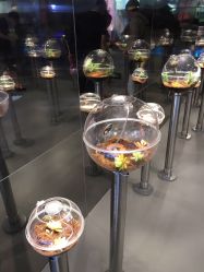 -七巧国萌宠乐园(龙湖天街店)