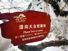 -瓦屋山景区