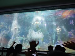 -海合安成都极地海洋公园