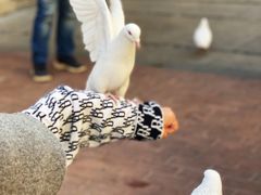 -王府井奥莱临潼小镇(临潼店)