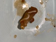 -望湘园·洞庭渔宴(永旺店)