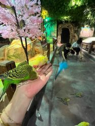 点击看大图 -酷嗒动物文化乐园(cutezoo西溪乐天城店)