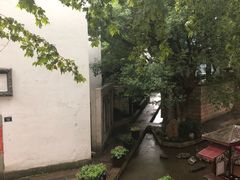 -猫的天空之城概念书店(杭州南宋御街店)