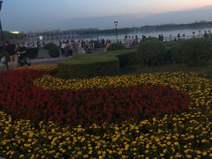 -丁香湖公园