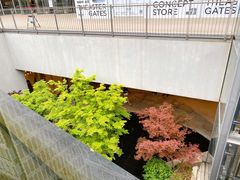 -茑屋书店(天目里店)