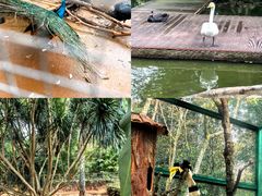 -海南热带野生动植物园
