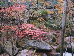 -丹东天桥沟景区